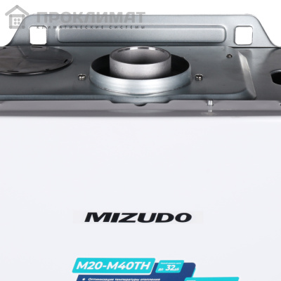 Котел газовый MIZUDO MAESTRO ONE М24TH одноконтурный/турбированный, Open Therm