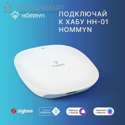 Розетка умная HOMMYN Smart Plug RKNZ01  4