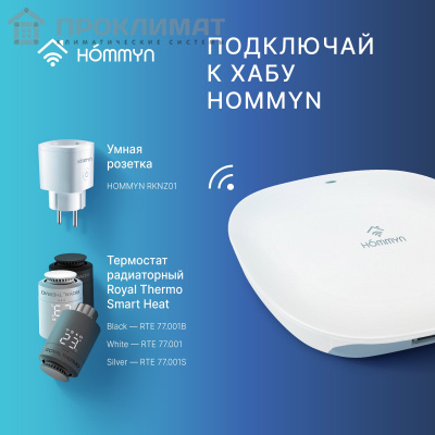 Розетка умная HOMMYN Smart Plug RKNZ01  5