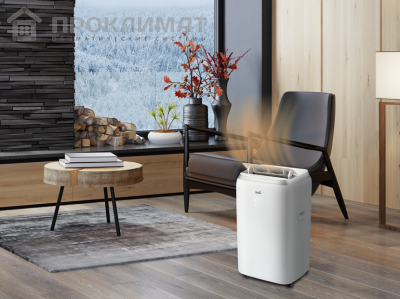 Кондиционер мобильный Ballu Platinum BPHS-11H