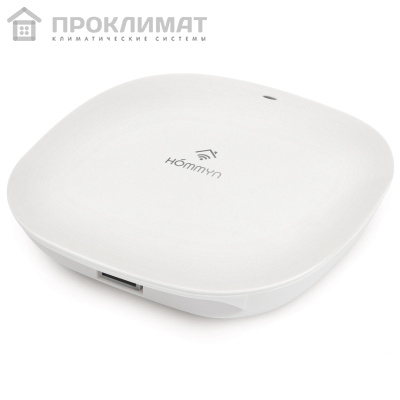 Блок управления (шлюз) HOMMYN Hub HH-01 1