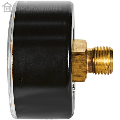Манометр аксиальный STOUT корпус Ø 50 мм, 1/4" (0-6 бар)