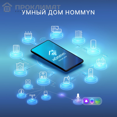 Розетка умная HOMMYN Smart Plug RKNZ01  7