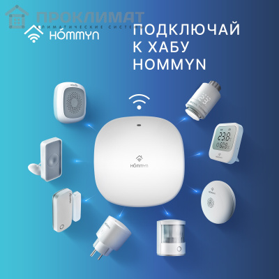 Розетка умная HOMMYN Smart Plug RKNZ01  8