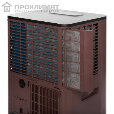 Кондиционер мобильный Ballu Twinkle BPAC-09 DWR/N6 Red