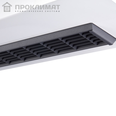 Завеса тепловая Ballu BHC-B10T06-PS2