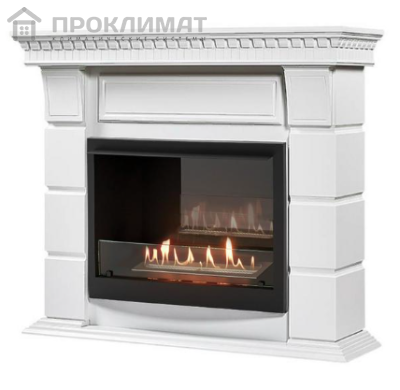 Каминокомплект: Биокамин Firelight BFP/P-2520, портал Elegante 25 белый 2