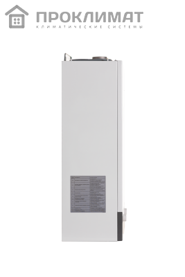 Котел газовый MIZUDO раздельный теплообменник М20Т